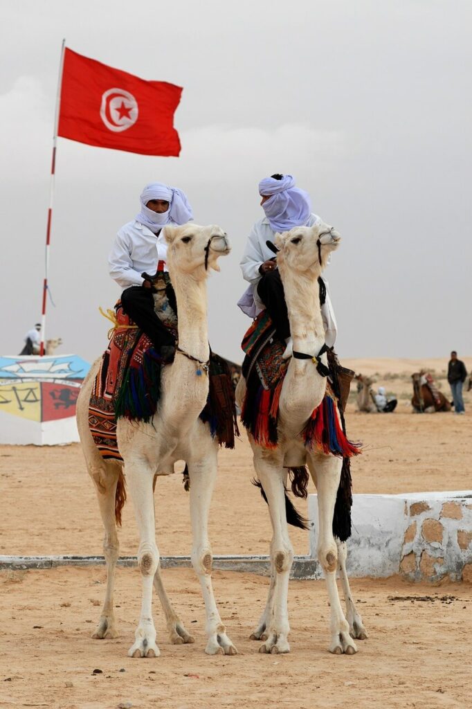 Dromedari Tunisia, Sahara, Deserto, Bandiera Tunisina, Turismo Tunisia, Escursioni Deserto, Cultura Tunisina, Tradizioni Tunisine.