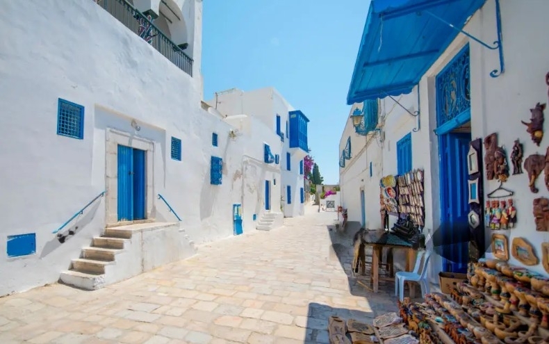 tunis-tunisi-tunisia-sidi-bou-said-panoramic-mare-sea-centro