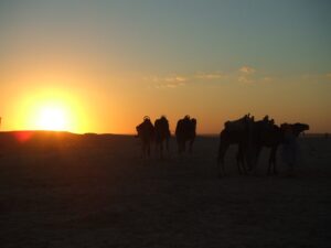 douz, deserto sahara, tunisia, nord africa