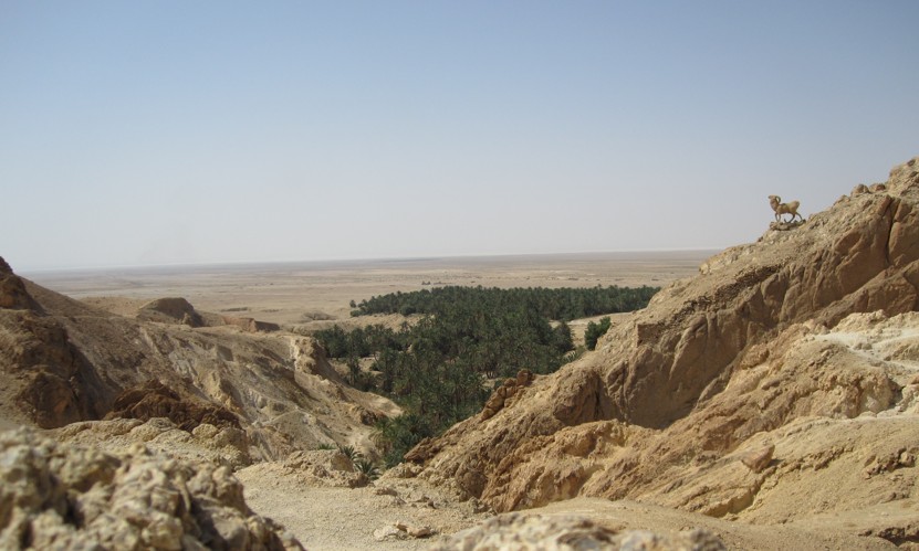 tunisia-deserto-sahara-sabbia-oasi-acqua-alberi-sassi-paesaggio-lunare