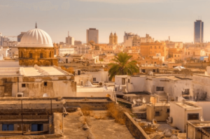 Panorama di Tunisi con architettura storica e moderna, vista della città e palme.