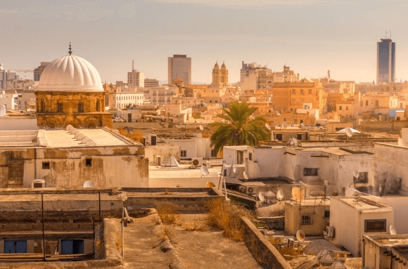 Panorama of Tunis with historical and modern architecture, city view and palm trees.