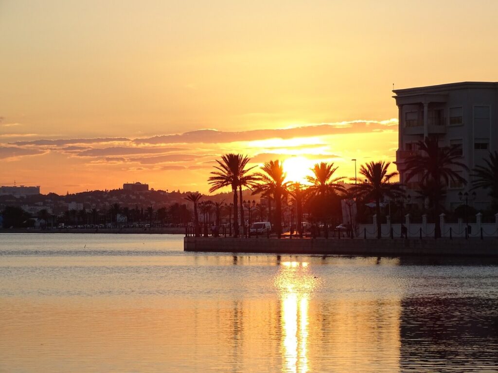 Tramonto a Tunisi con palme che si riflettono nel lago, colori caldi e cielo sereno.